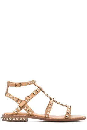 Ash Precious Buckle Fastened Sandals